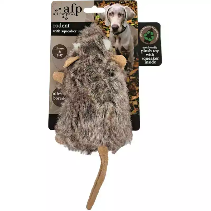 jouet pour chien jouet pour chien