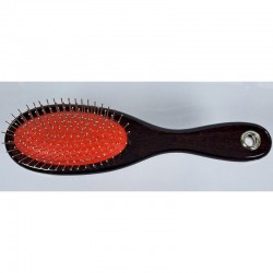brosse picot pour chien