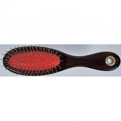 brosse picot métal pour chien