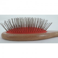 brosse pour chien